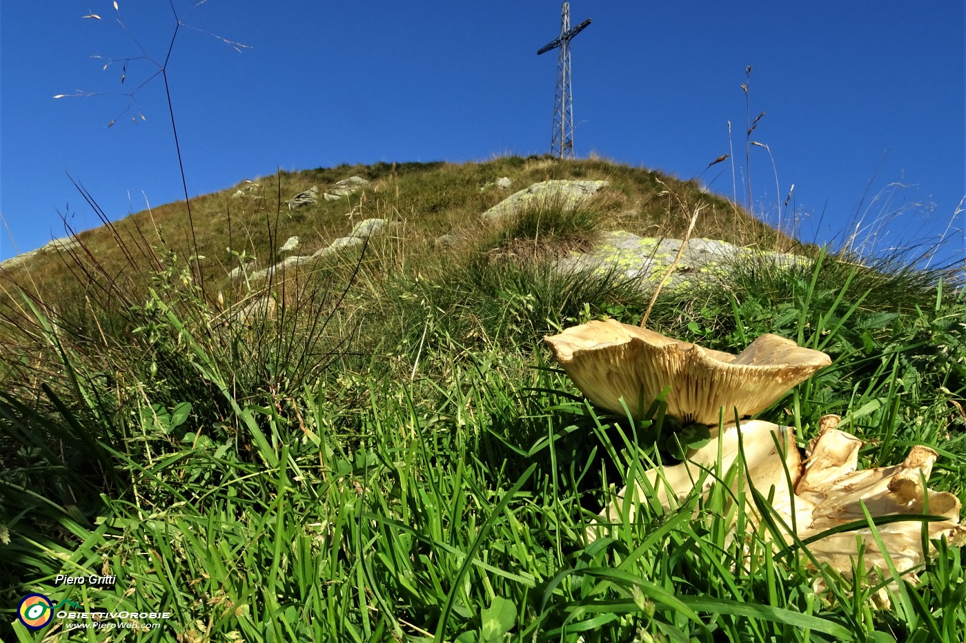 41 Funghi sul Pizzo delle segade....JPG